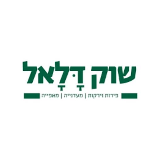 אמיר